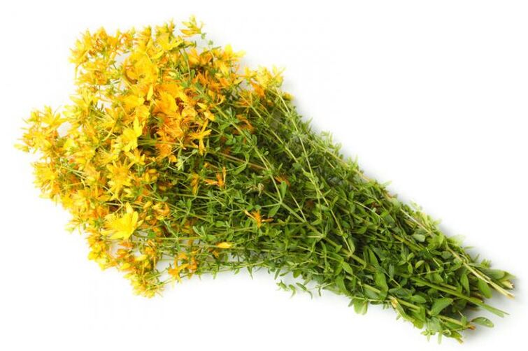O mosto de St. John é usado no tratamento da artrose